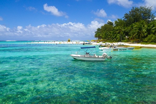 旅游商贸产业资讯